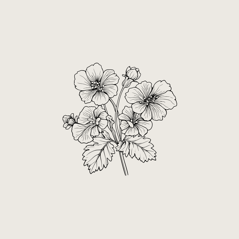 Organic Geranium Oil