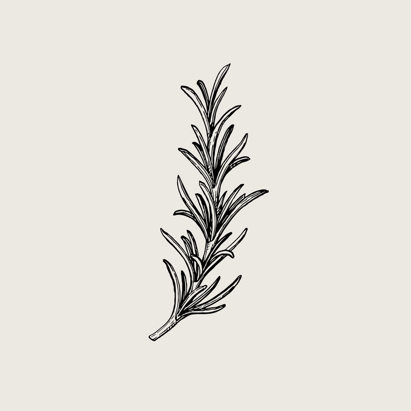 Organic Rosemary Oil