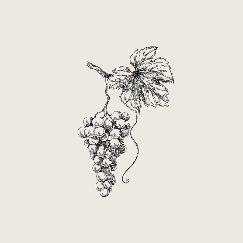 Organic Grape Seed Oil