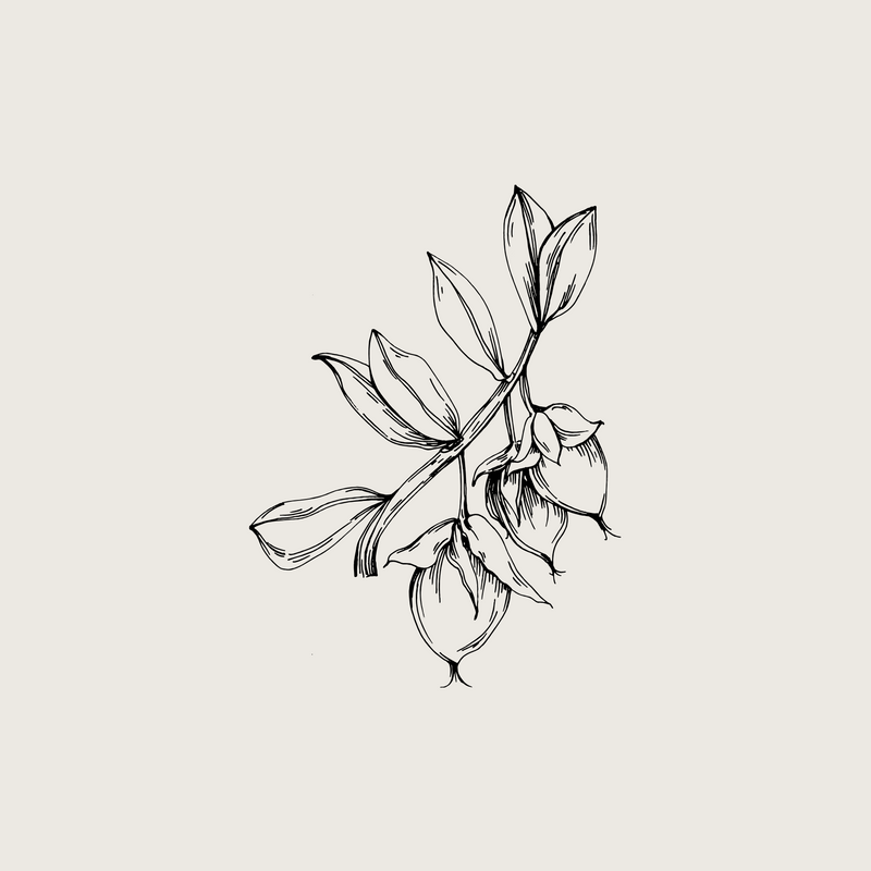 Organic Jojoba Oil