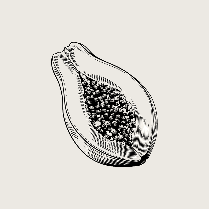 Papaya Seed Oil