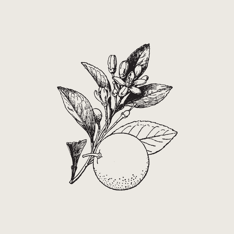 Organic Petitgrain Oil