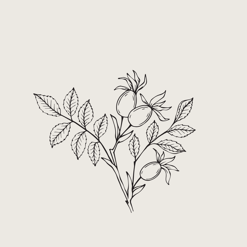 Organic Rosehip Oil