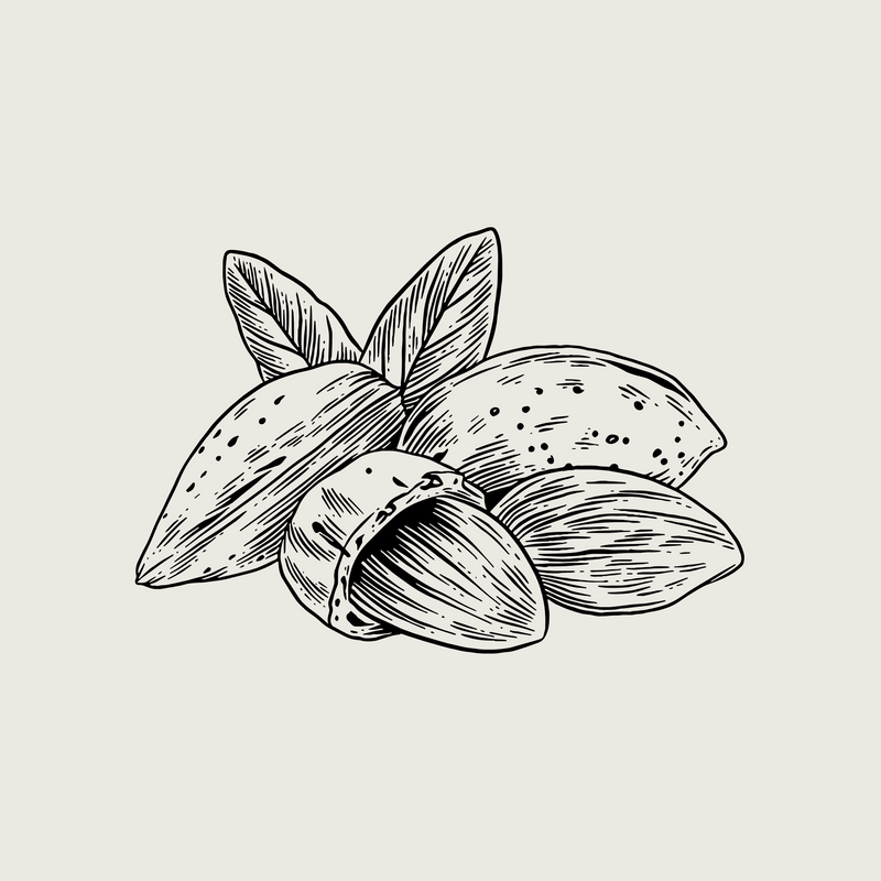 Organic Sweet Almond Oil