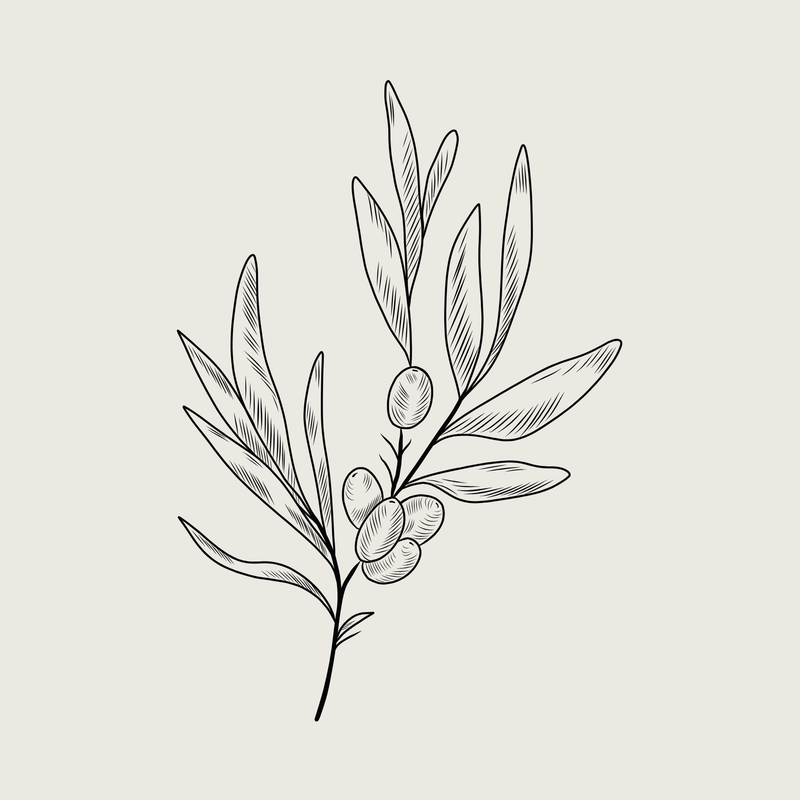 Organic Sea Buckthorn